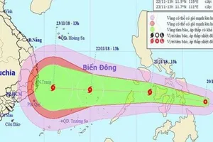 Sẽ có 10-12 cơn bão, áp thấp nhiệt đới trong năm 2019