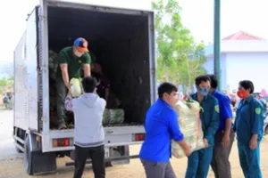 Những bó rau và tình người Đức Trọng