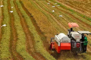 Tranh chấp đất có cần hòa giải ở UBND xã trước?