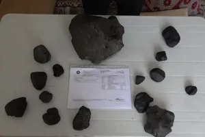 Đi tìm nấm, ‘hái’ được cả 40 kg đá thiên thạch