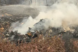 Cháy rừng ở Hàn Quốc: Trực thăng chữa cháy rơi, phi công kỳ cựu 73 tuổi tử nạn