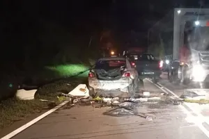 May mắn thoát thân khi ô tô bị voi hoang dã giẫm nát giữa đường