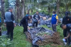 ẢNH: 620 bao, bó cần sa trong vườn sầu riêng ở Thái Lan