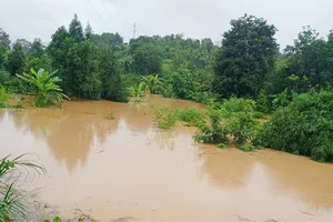 Người dân lòng hồ thủy điện Đắk Psi bị ảnh hưởng