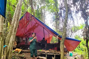 Thông tin khai thác vàng trong vườn quốc gia là hiểu lầm