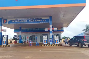 Công an vào cuộc vụ chuyển đổi 3.000 m2 đất nông nghiệp ở Gia Lai