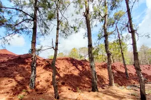 Bãi đất trái phép ở sân golf Đắk Đoa: Huyện nói chủ đầu tư xin đổ tạm