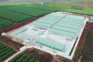 Ủy ban huyện phản hồi vụ trại heo không phép trên đất nông nghiệp