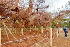 Dự án khiến lãnh đạo tỉnh Gia Lai bị xem xét kỷ luật