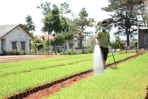 Thanh tra sai phạm tại Ban Quản lý rừng phòng hộ Đắk Đoa