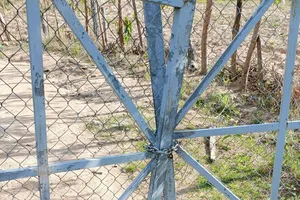 Xử phạt 1 hộ dân lấn chiếm 156 ha rừng ở Gia Lai