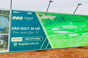 Chấm dứt di dời cây thông khỏi dự án sân golf ở Gia Lai