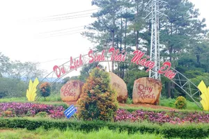 Đề nghị thu hồi dự án khu du lịch sinh thái Măng Đen