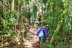 Thông tin mới về 2 thi thể được phát hiện trong rừng