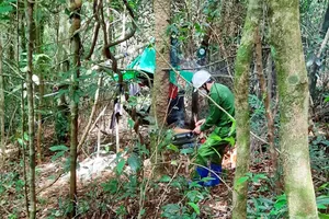 Công an kết luận về 2 bộ xương khô trong rừng Kbang, Gia Lai