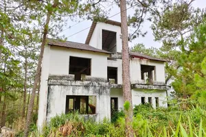 Thu hồi 39 lô đất biệt thự ở Măng Đen, Kon Tum