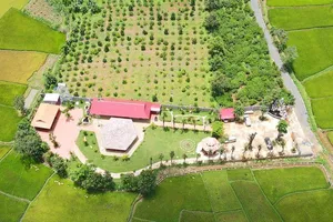 Buộc cưỡng chế "biệt phủ" xây dựng trên đất nông nghiệp