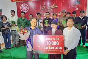 Tặng 10.000 cây giống sâm Ngọc Linh trị giá 3 tỉ đồng cho người dân nghèo