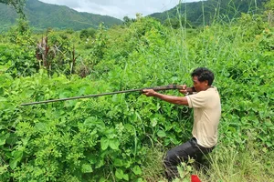 Nổ súng hoa cải khi săn gà rừng, đạn trúng người đi bẫy 