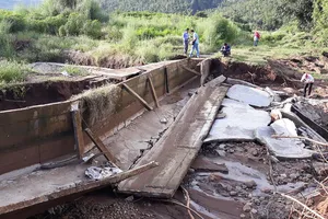 Gia Lai cấm 1 doanh nghiệp tham gia đấu thầu trong ba năm