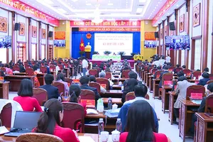 Bà Nguyễn Thị Thanh Lịch giữ chức Phó Bí thư Ban cán sự UBND tỉnh Gia Lai