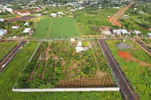 Kiểm điểm lãnh đạo UBND tỉnh Gia Lai để xảy ra nhiều sai phạm