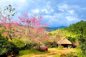 Điều bất ngờ khiến Măng Đen đón lượng khách 'khủng' dịp Tết 