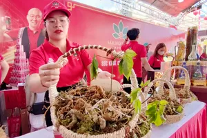 Biến sâm Ngọc Linh thành 'đòn bẩy' phát triển du lịch