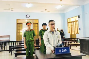 Cựu nhân viên ngân hàng lừa vay tiền lĩnh án