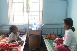 Ăn thịt cóc, 1 người chết 2 người nhập viện