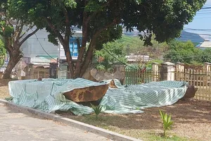 Vụ vớt gỗ lạ ở Kon Tum: Sau 1 năm vẫn chưa xác lập quyền sở hữu toàn dân