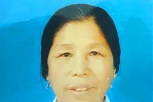 Cụ bà bán rau 73 tuổi, lừa đảo gần 14 tỉ đồng