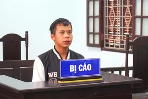 Trộm sâm Ngọc Linh, nói dối trộm của vợ để mang đi bán 