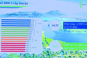 Gia Lai tìm giải pháp cải thiện chỉ số năng lực cạnh tranh