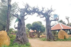 Gia Lai: Buông lỏng quản lý đất đai, 1 chủ tịch xã bị kỷ luật 