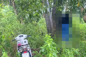 1 phụ nữ tử vong trong tư thế treo cổ ở rừng tràm