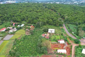 Ban Quản lý rừng yêu cầu Cục thi hành án tỉnh Gia Lai thu hồi đất rừng lấn chiếm 