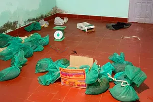 1 phụ nữ bị bắt vì mua rắn hổ chúa về bán kiếm lời