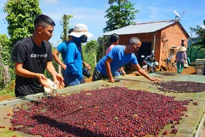 Bộ trưởng NN&PTNT: Doanh nghiệp không nên chăm chăm lợi ích trước mắt