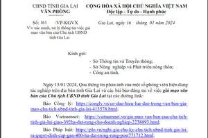 Tỉnh Gia Lai lên tiếng vụ giả mạo quyết định của chủ tịch tỉnh giao đất trồng rừng