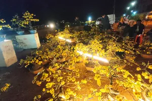 Gia Lai: Người bán hoa tết chấp nhận lỗ, xả hàng về đón giao thừa