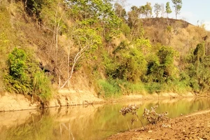 Gia Lai: Đi chăn bò, 3 cháu nhỏ tắm sông đuối nước tử vong