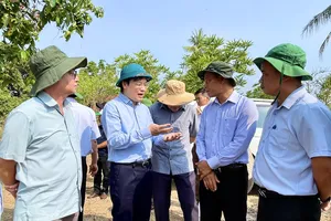 Gia Lai: Công bố tình huống khẩn cấp sạt lở bờ sông