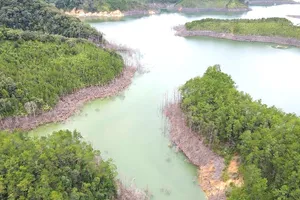 Kiểm điểm nhiều cán bộ vụ thủy điện Thượng Kon Tum tích nước làm chết 25 ha rừng