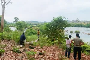 Thêm 1 người bị nước cuốn mất tích trên sông Pô Cô