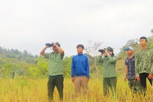 Giữ rừng: Áp lực cao nhưng đãi ngộ thấp