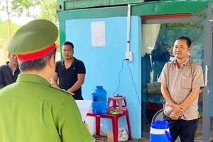 1 phó giám đốc ở Gia Lai bị khởi tố vì khai thác cát trái phép hơn 16.000 m3