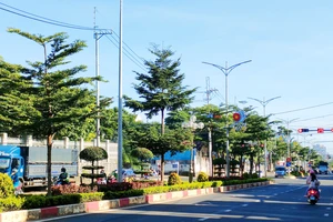 Gia Lai cung cấp tài liệu 24 dự án cây xanh cho Bộ Công an