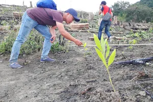 Sở Tài nguyên và Môi trường Gia Lai chi hơn 15 tỉ đồng làm dự án gây lãng phí 