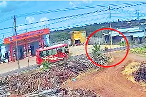 Công an xác định nguyên nhân khiến xe khách lật nghiêng trên quốc lộ 14